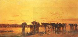 Charles tournemine African Elephants oil painting picture
